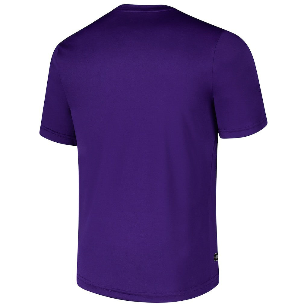 Minnesota Vikings Stadium Retro T-Shirt - Purple - NFL