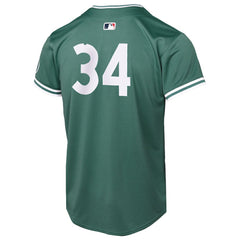 David Ortiz Boston Red Sox Nike Youth 2025 City Connect Limited Retired Player Jersey Discount