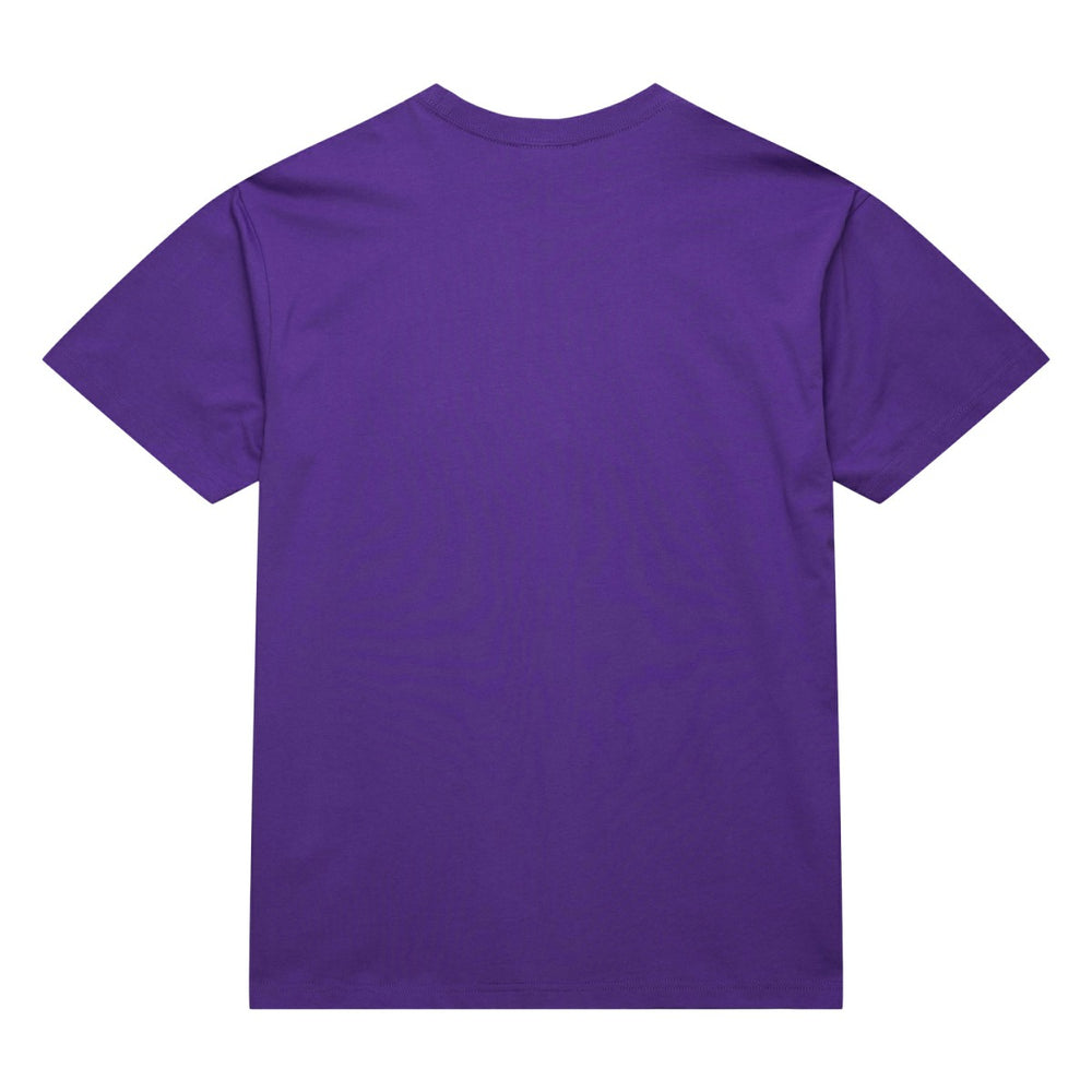 Mitchell & Ness Toronto Raptors Hardwood Classics Neon Nights Premium T-Shirt Raptors Purple