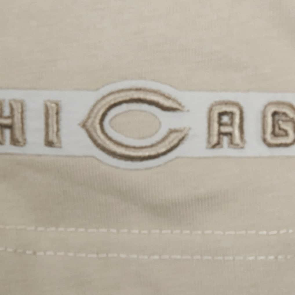 Chicago Bears Pro Standard Neutrals Capsule Short Sleeve Pullover Hoodie - Tan - NFL