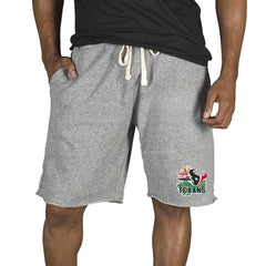 Houston Texans Concepts Sport Mainstream Tri-Blend Shorts - Gray - NFL