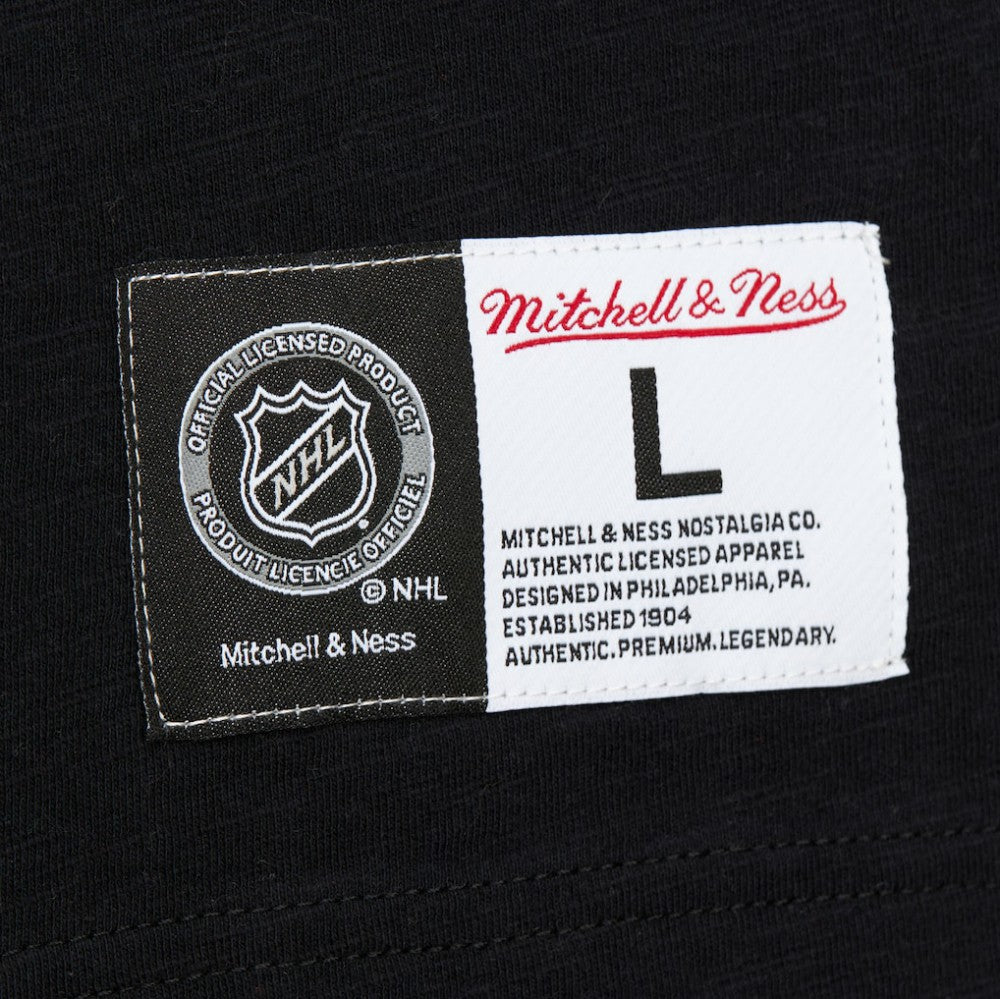 San Jose Sharks Mitchell & Ness Legendary Slub Raglan Long Sleeve T-Shirt - Black/Teal | NHL on sale