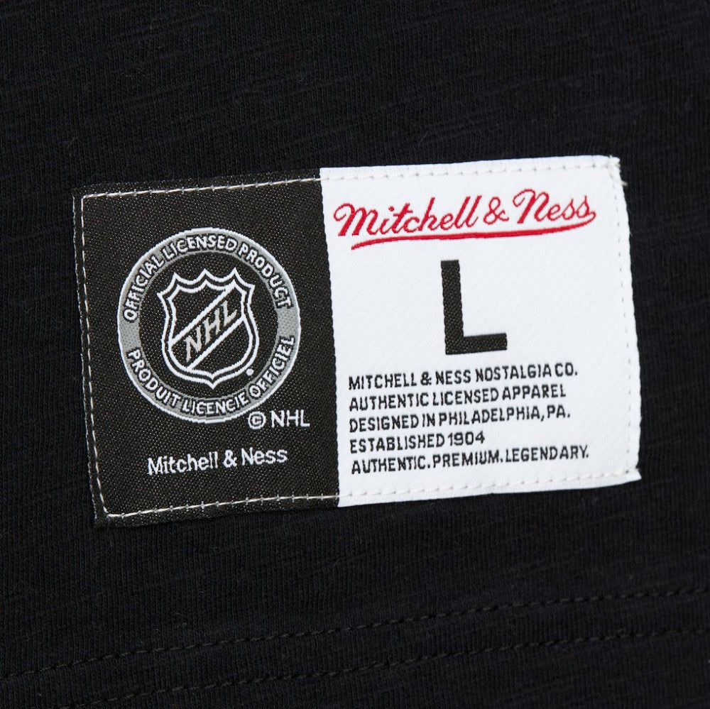 Boston Bruins Mitchell & Ness Legendary Slub Raglan Long Sleeve T-Shirt - Black/Gold | NHL sale
