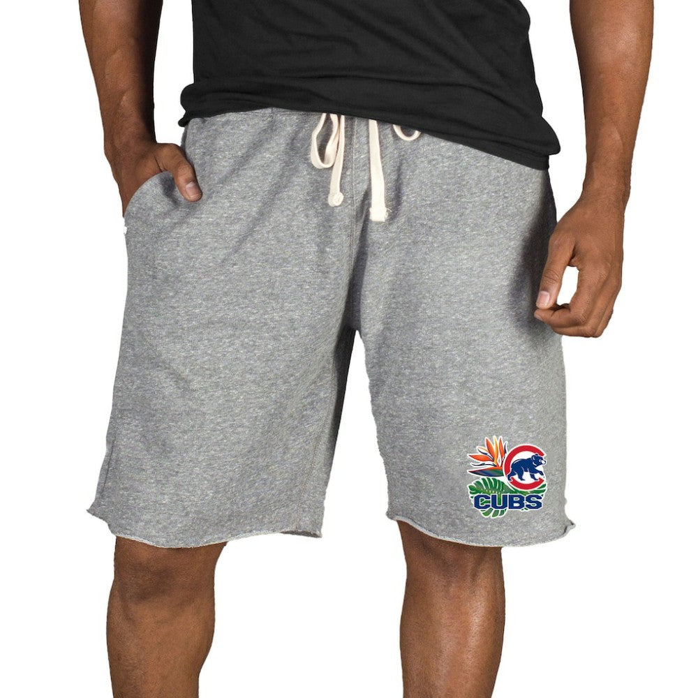 Chicago Cubs Concepts Sport Mainstream Tri-Blend Shorts for sale