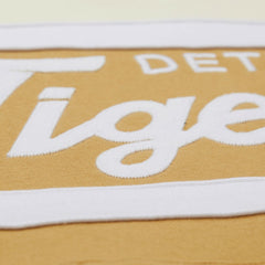 Detroit Tigers Mitchell & Ness Head Coach Pullover Hoodie Sale