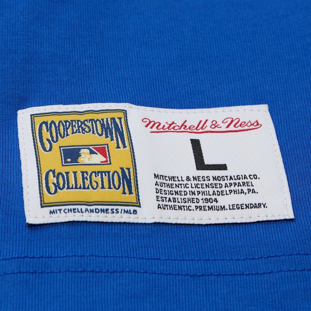 Hank Aaron Atlanta Braves Mitchell & Ness Legends Collection Vintage Logo T-Shirt Online