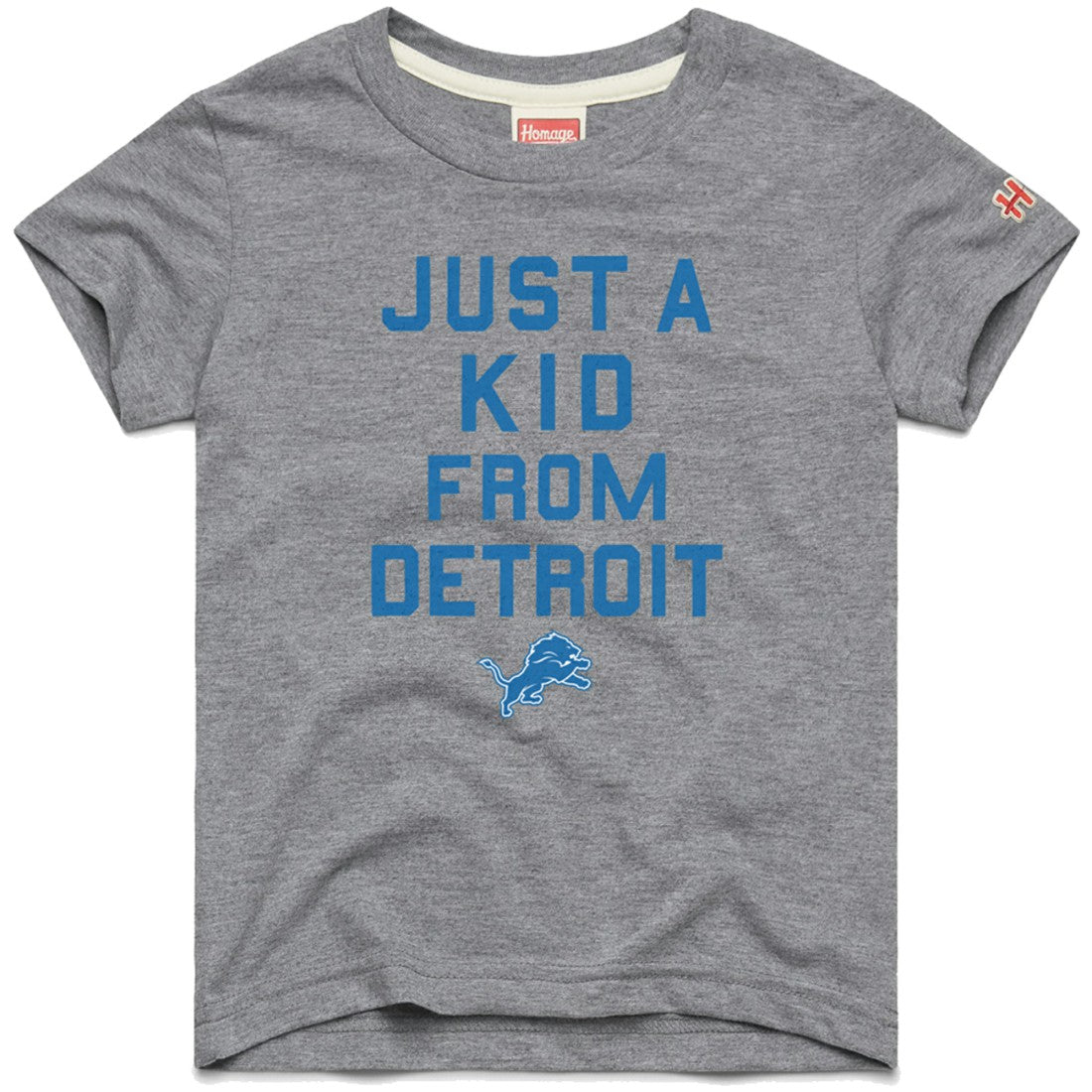 Detroit Lions Homage Youth Just a Kid Tri-Blend T-Shirt - Gray - NFL