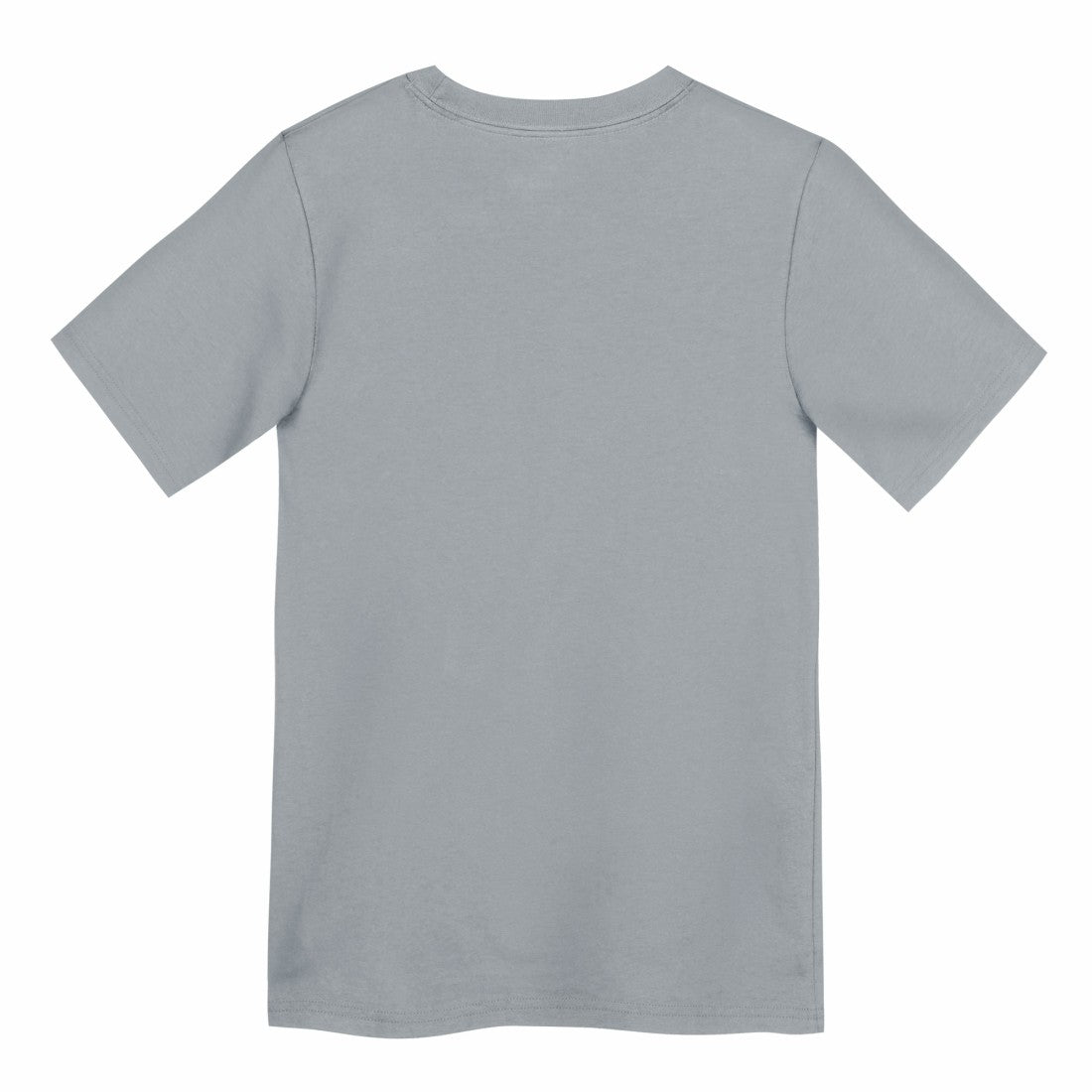 Detroit Lions Preschool Icon Legend Dri-FIT T-Shirt - Gray - Nike