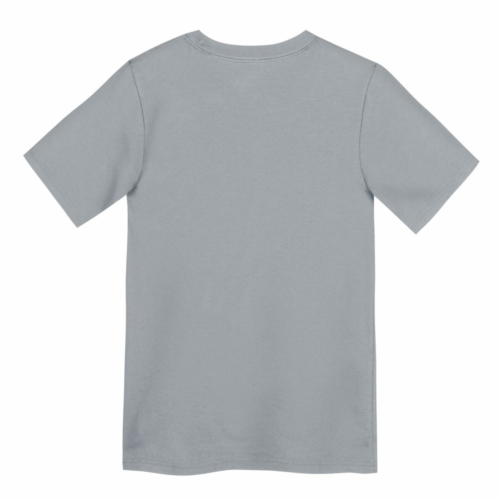 Detroit Lions Preschool Icon Legend Dri-FIT T-Shirt - Gray - Nike