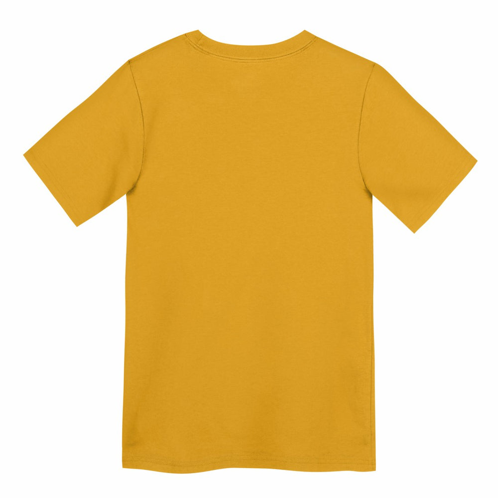 Green Bay Packers Preschool Icon Legend Dri-FIT T-Shirt - Gold - Nike