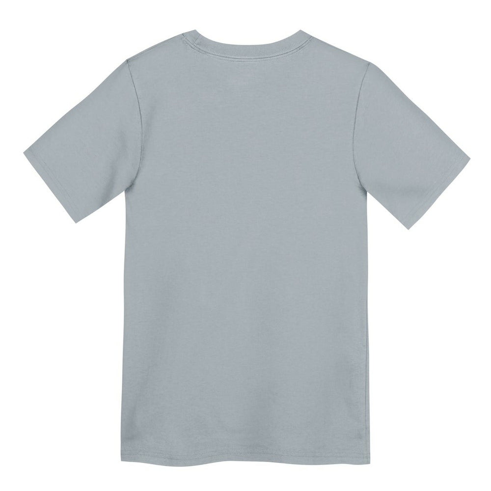Las Vegas Raiders Preschool Icon Legend Dri-FIT T-Shirt - Gray - Nike