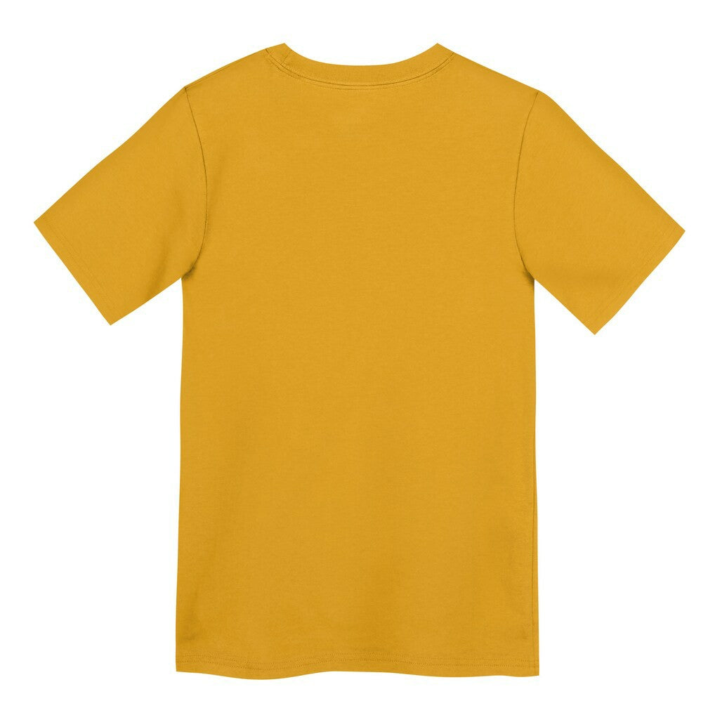 Pittsburgh Steelers Preschool Icon Legend Dri-FIT T-Shirt - Gold - Nike