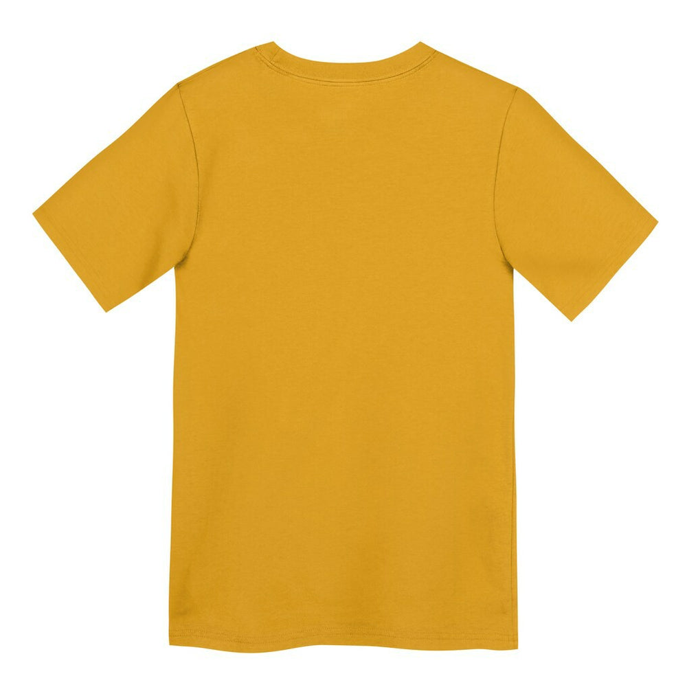 Pittsburgh Steelers Preschool Icon Legend Dri-FIT T-Shirt - Gold - Nike