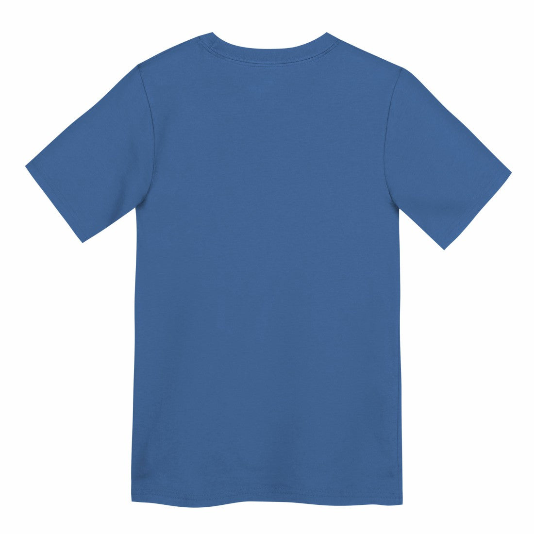 Detroit Lions Preschool Primary Logo Legend Performance T-Shirt - Blue - Nike
