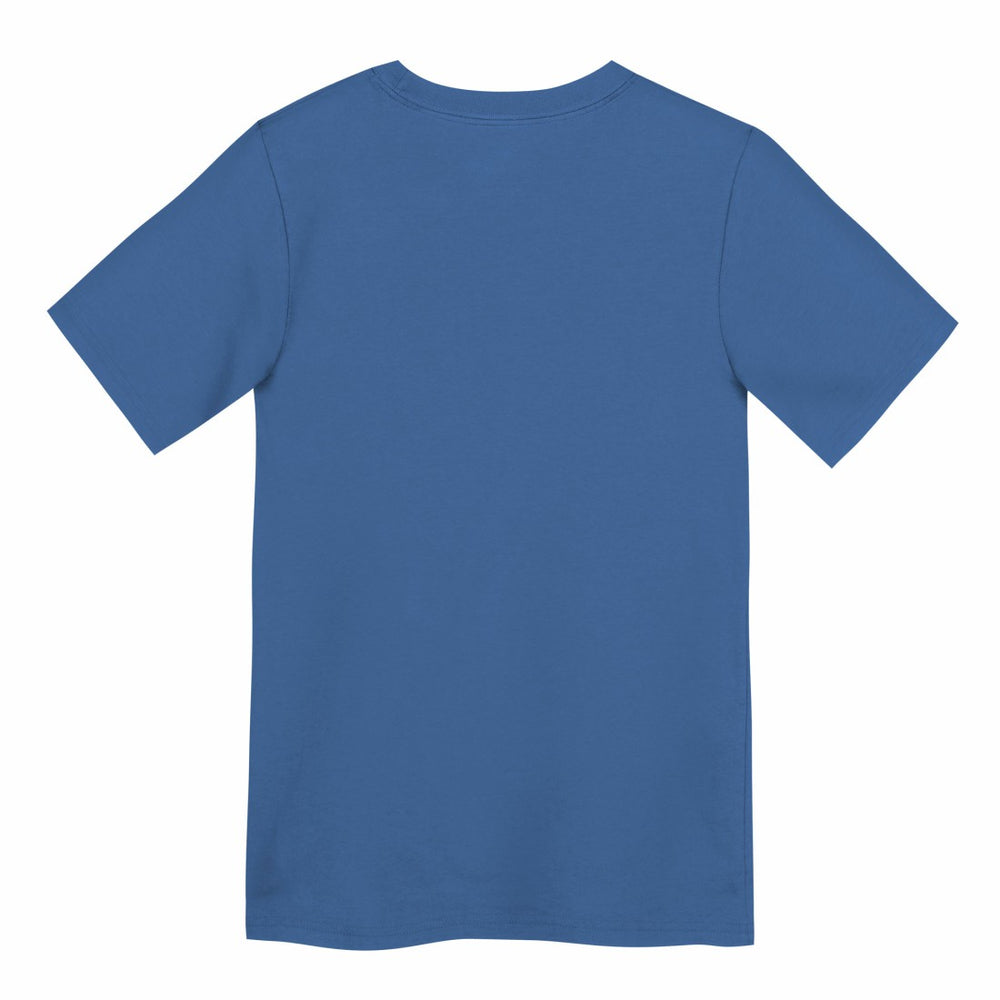 Detroit Lions Preschool Primary Logo Legend Performance T-Shirt - Blue - Nike