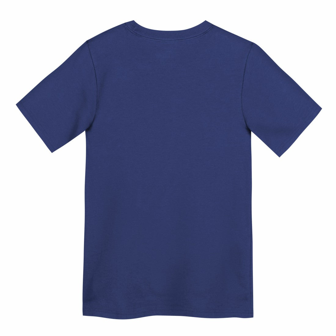 New York Giants Preschool Primary Logo Legend Performance T-Shirt - Royal - Nike