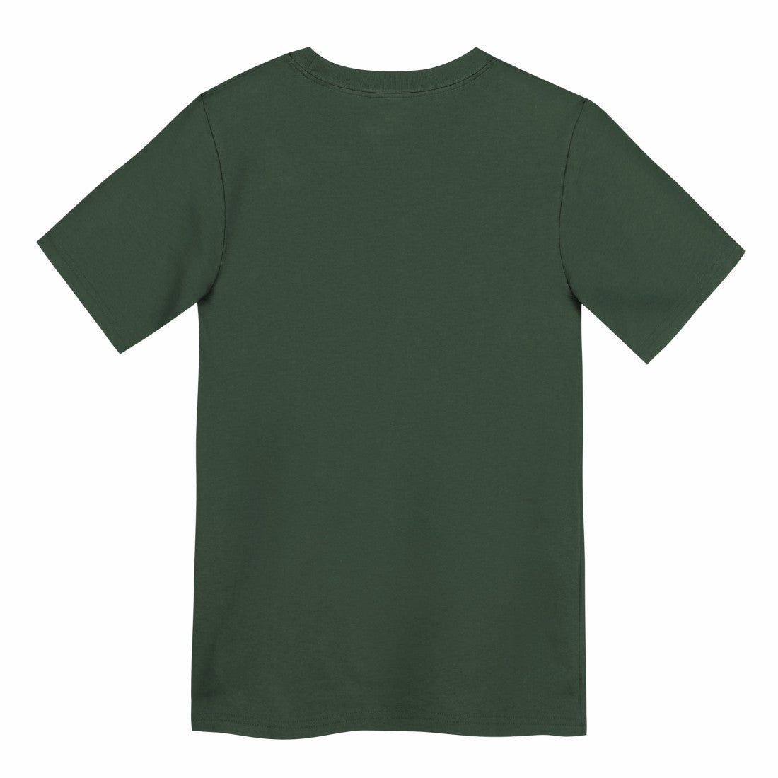 Green Bay Packers Preschool Primary Logo Legend Performance T-Shirt - Green - Nike