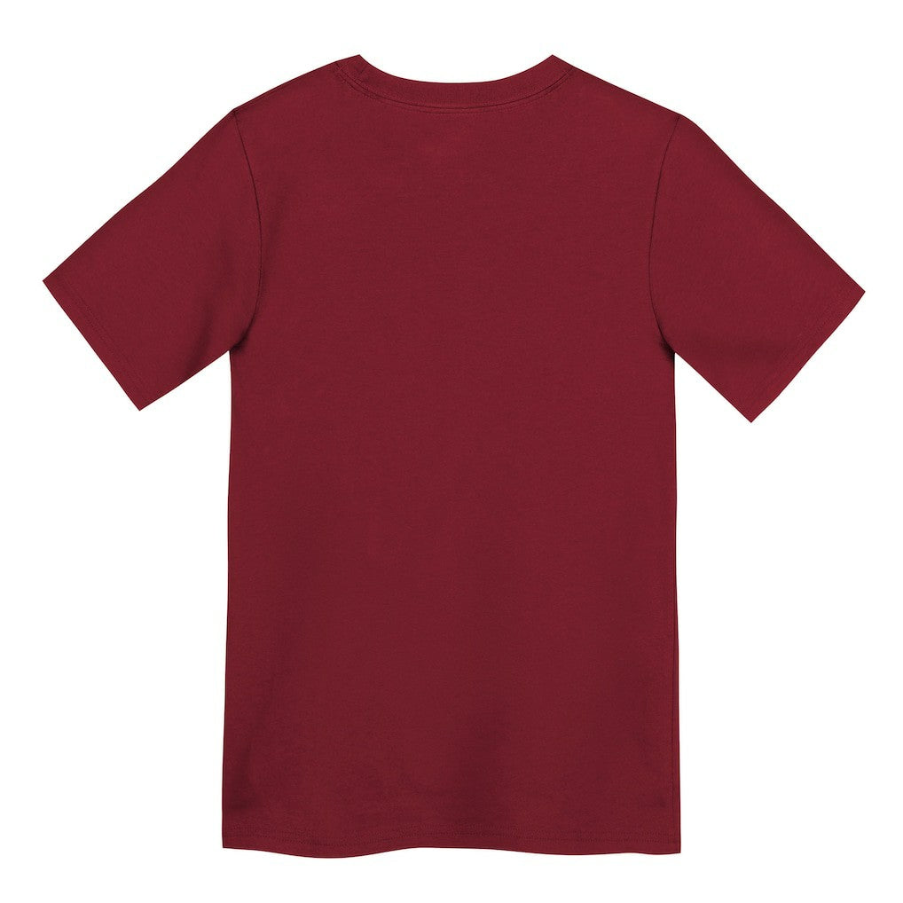 San Francisco 49ers Preschool Primary Logo Legend Performance T-Shirt - Scarlet - Nike