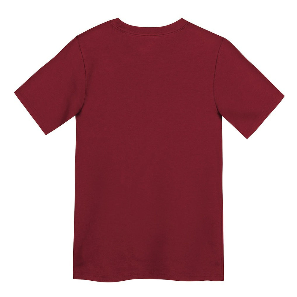 San Francisco 49ers Preschool Primary Logo Legend Performance T-Shirt - Scarlet - Nike