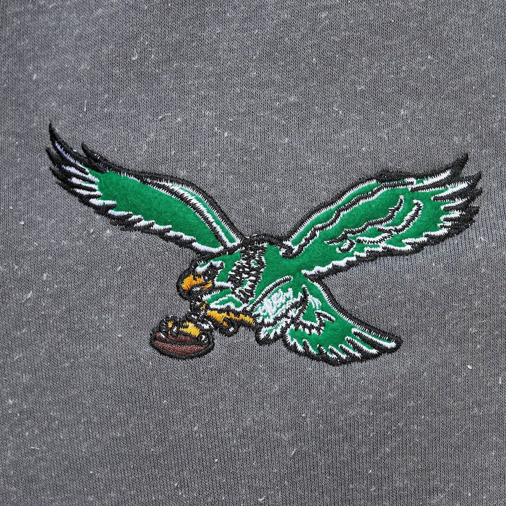 Philadelphia Eagles Vintage Logo Snow Washed Fleece Pullover Hoodie - Heather Gray - Mitchell & Ness