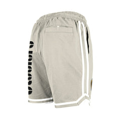 Pittsburgh Steelers New Era Stone Multi Patch Shorts - Light Beige - NFL