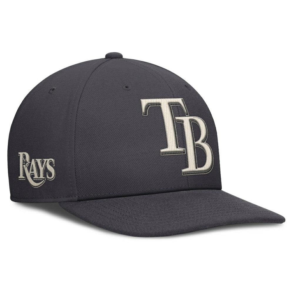 Tampa Bay Rays Nike Statement Pro Snapback Hat Sale