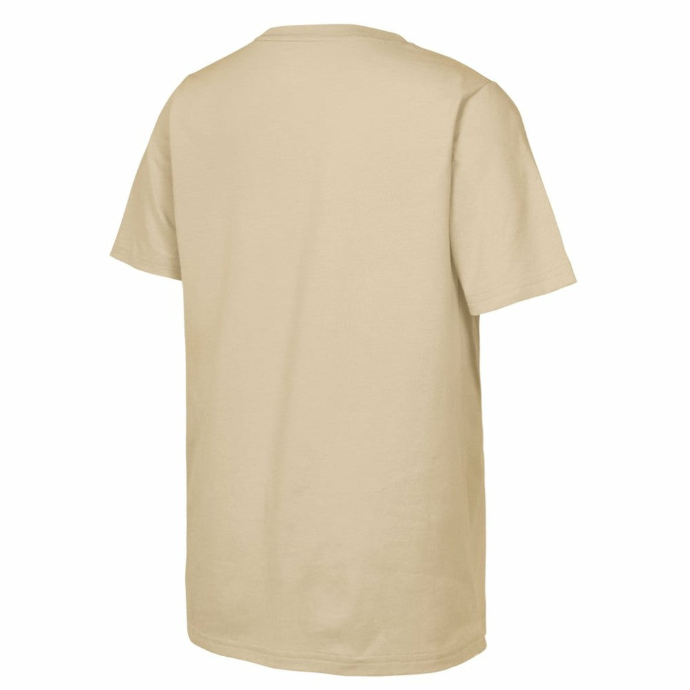 St. Louis Blues Youth 2025 NHL Winter Classic Street Art T-Shirt - Tan | NHL Clearance