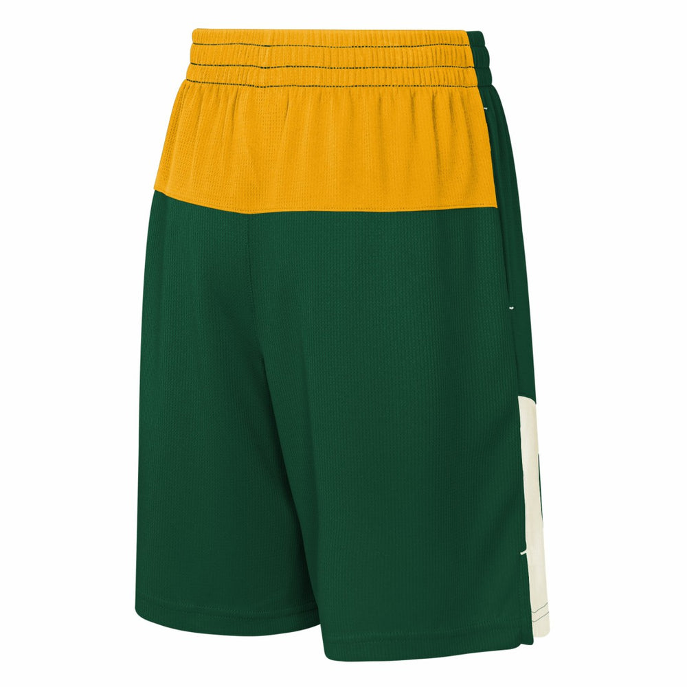 Green Bay Packers Youth Fandemonium Mesh Shorts - Green - NFL