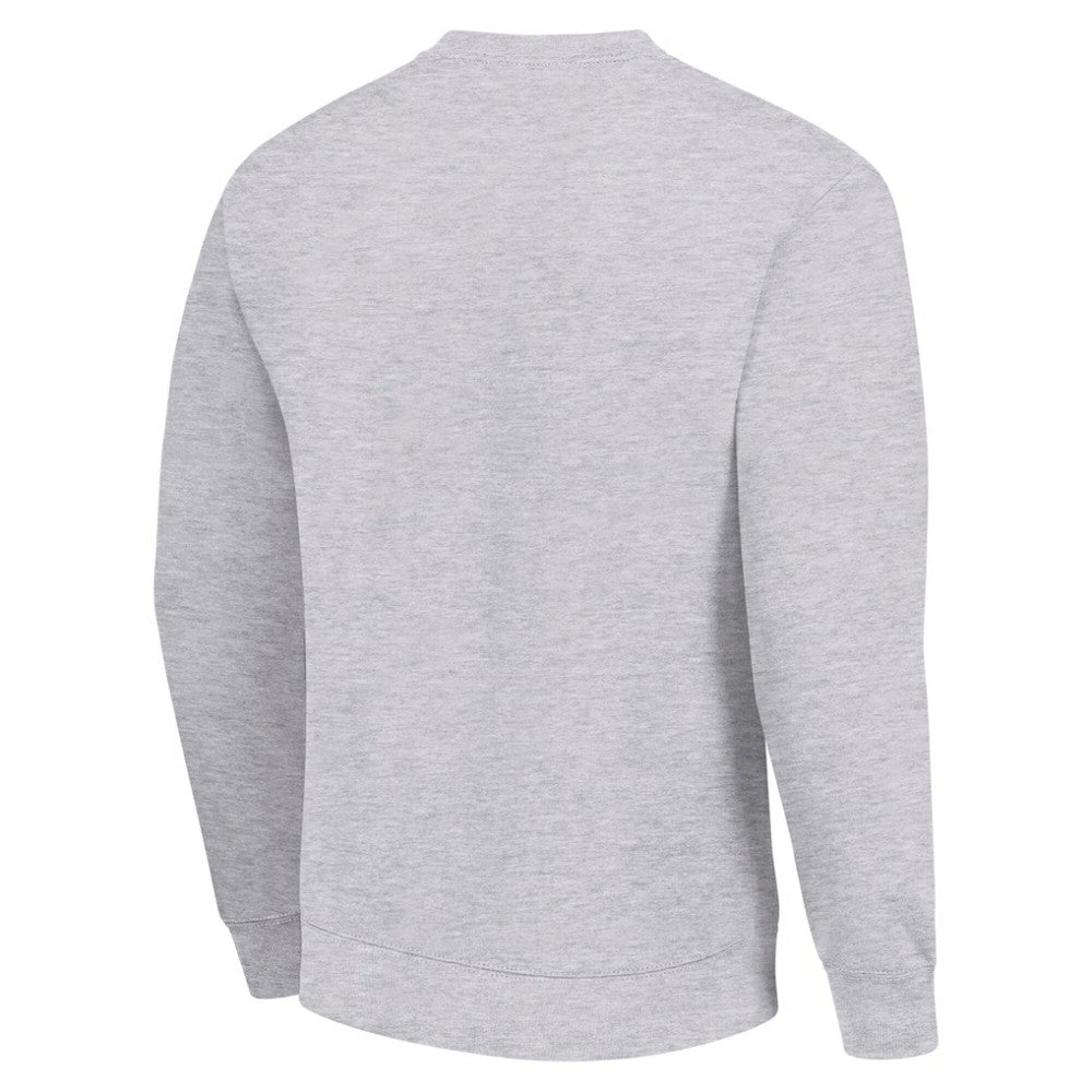 Ottawa Senators Men's Starter Team Logo Fleece Pullover Sweatshirt - Heather Gray | NHL on sale
