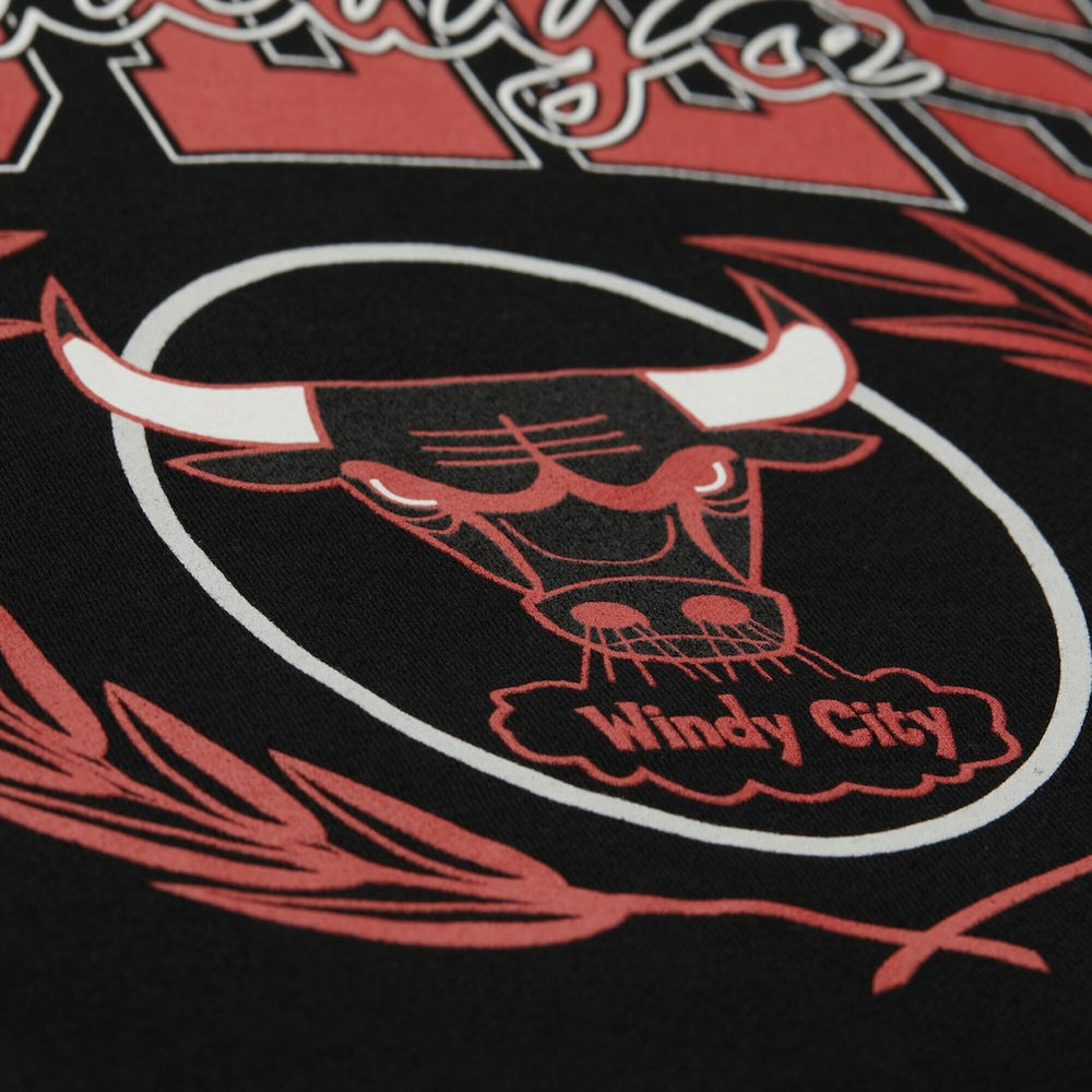 Mitchell & Ness Chicago Bulls NBA x Michelob Ultra Swish & Sip Pullover Hoodie Black