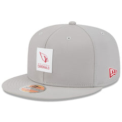 Arizona Cardinals New Era 2025 Sideline 59FIFTY Fitted Hat - Gray - NFL