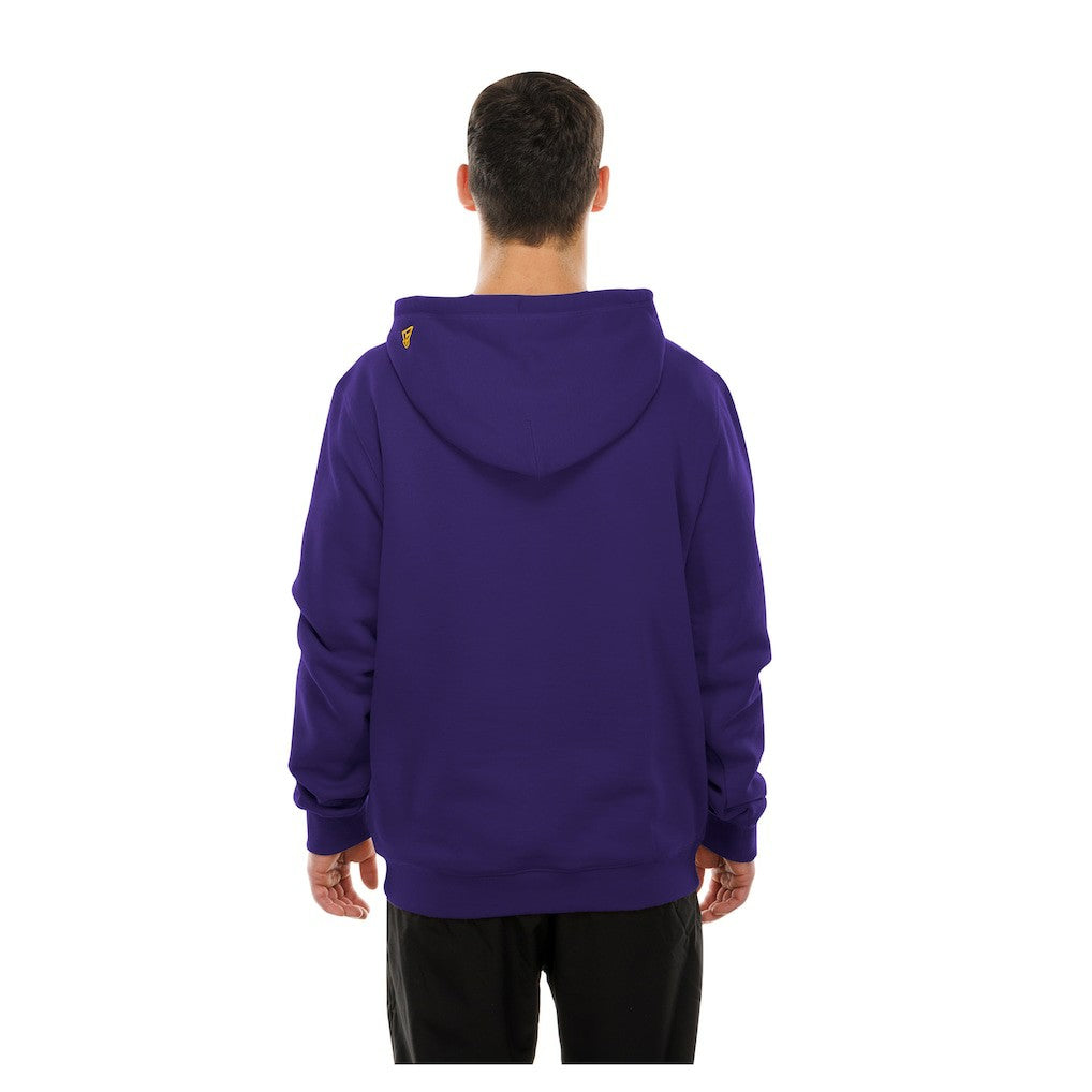 Minnesota Vikings New Era Combine Authentic Local State Throwback Hoodie - Purple - NFL