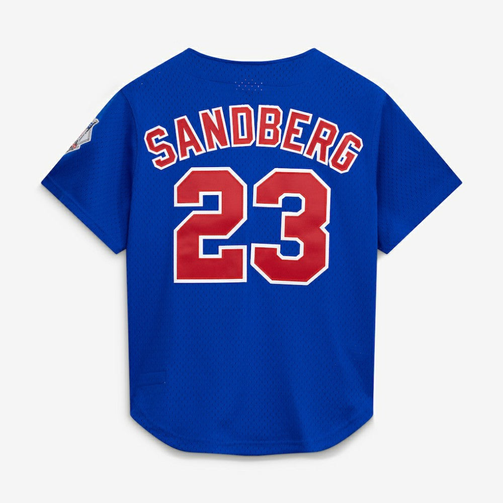 Ryne Sandberg Chicago Cubs Mitchell & Ness Cooperstown Collection 1997 Mesh Batting Practice Button-Up Jersey Sale