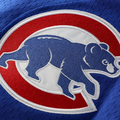 Ryne Sandberg Chicago Cubs Mitchell & Ness Cooperstown Collection 1997 Mesh Batting Practice Button-Up Jersey Sale