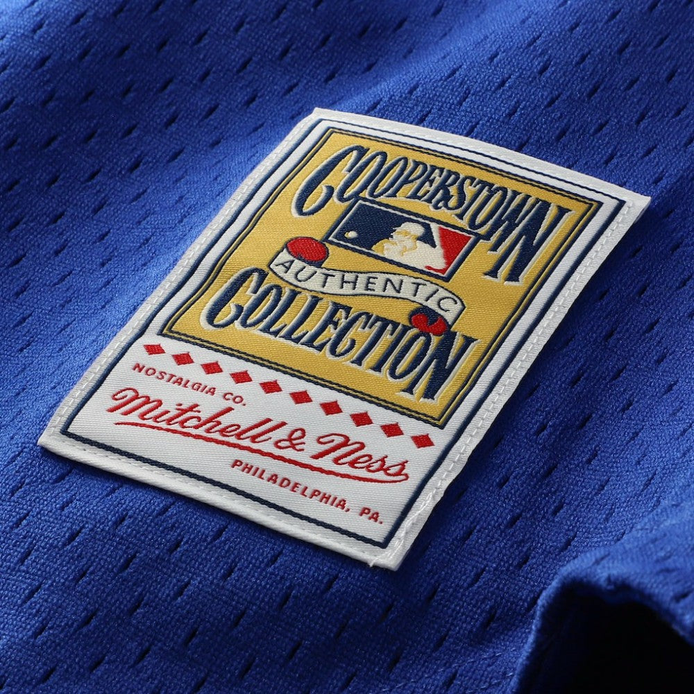 Ryne Sandberg Chicago Cubs Mitchell & Ness Cooperstown Collection 1997 Mesh Batting Practice Button-Up Jersey Sale