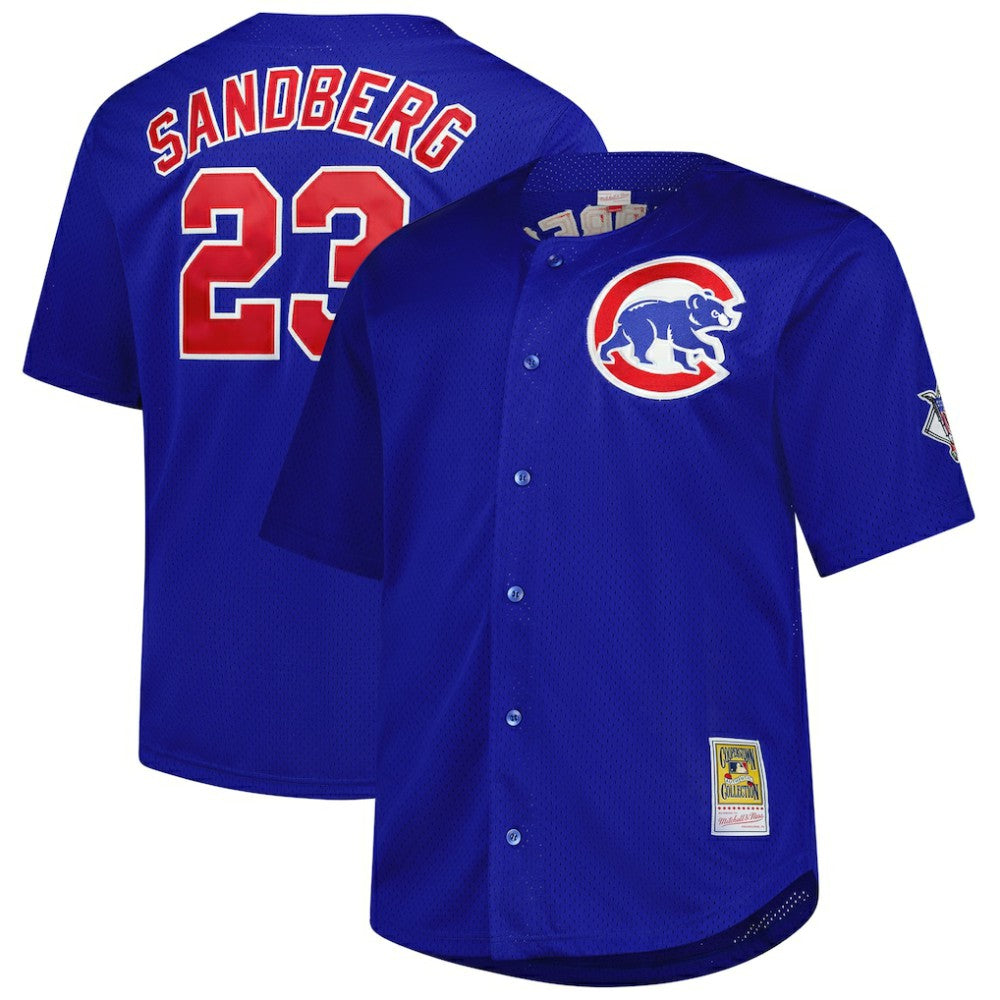 Ryne Sandberg Chicago Cubs Mitchell & Ness Big & Tall Cooperstown Mesh Batting Practice Jersey Near Me