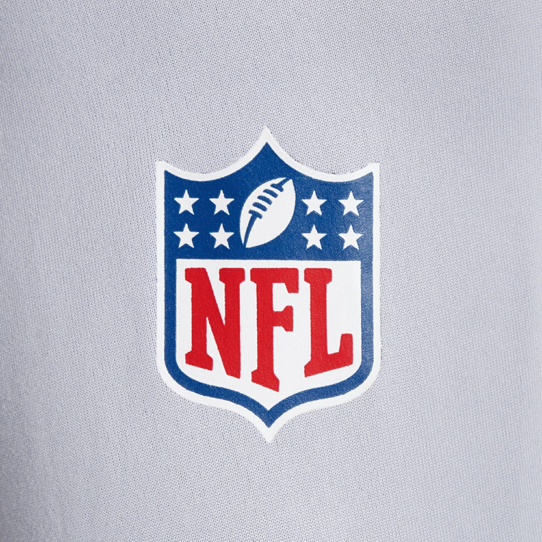 Seattle Seahawks 2025 Rivalries Collection Sideline Legend Dri-FIT Long Sleeve T-Shirt - Wolf Gray - Nike