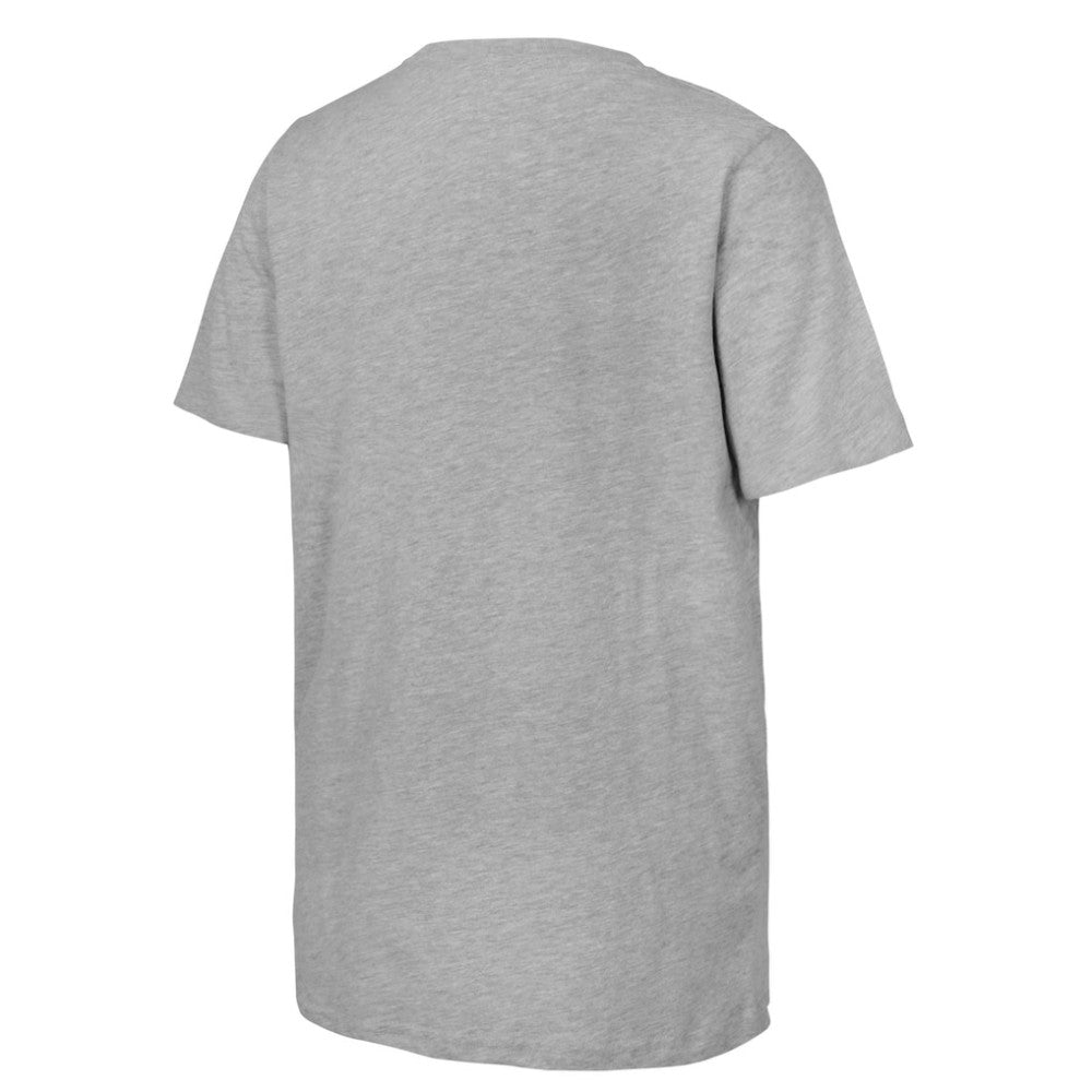 Youth 2025 NHL Stadium Series Columbus Blue Jackets vs. Detroit Red Wings Matchup T-Shirt - Heather Gray | NHL on sale