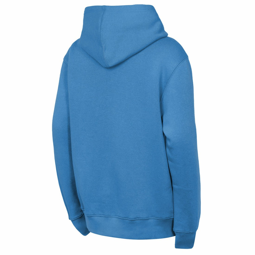Tennessee Titans Outerstuff Youth Back to Basics Hoodie - Light Blue - NFL