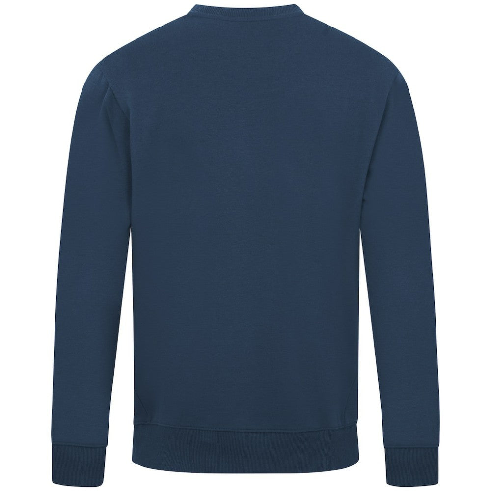 Tampa Bay Rays Levelwear City Connect Zane No Hitter Pullover Sweatshirt for sale