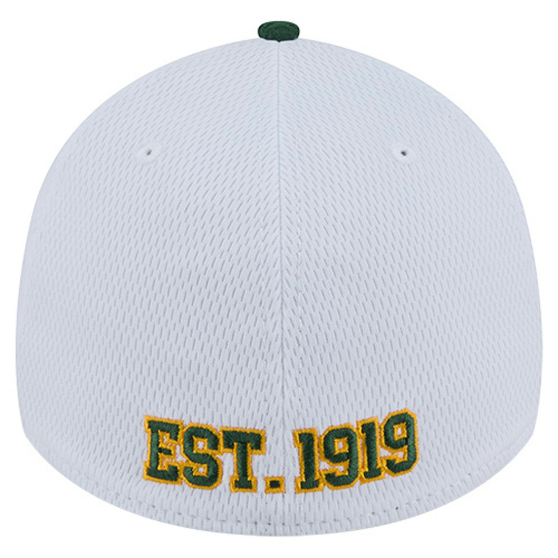 Green Bay Packers New Era Dashmark Rays 39THIRTY Flex Hat - White/Green - NFL