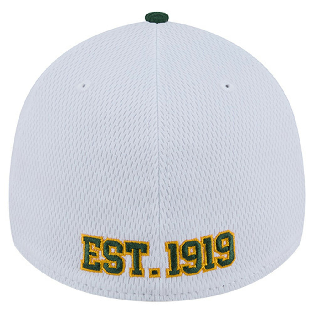 Green Bay Packers New Era Dashmark Rays 39THIRTY Flex Hat - White/Green - NFL