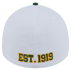 Green Bay Packers New Era Dashmark Rays 39THIRTY Flex Hat - White/Green - NFL