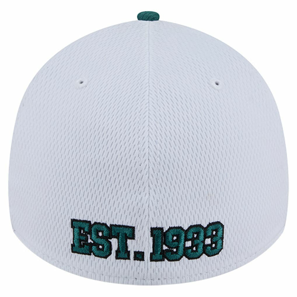 Philadelphia Eagles New Era Dashmark Rays 39THIRTY Flex Hat - White/Midnight Green - NFL