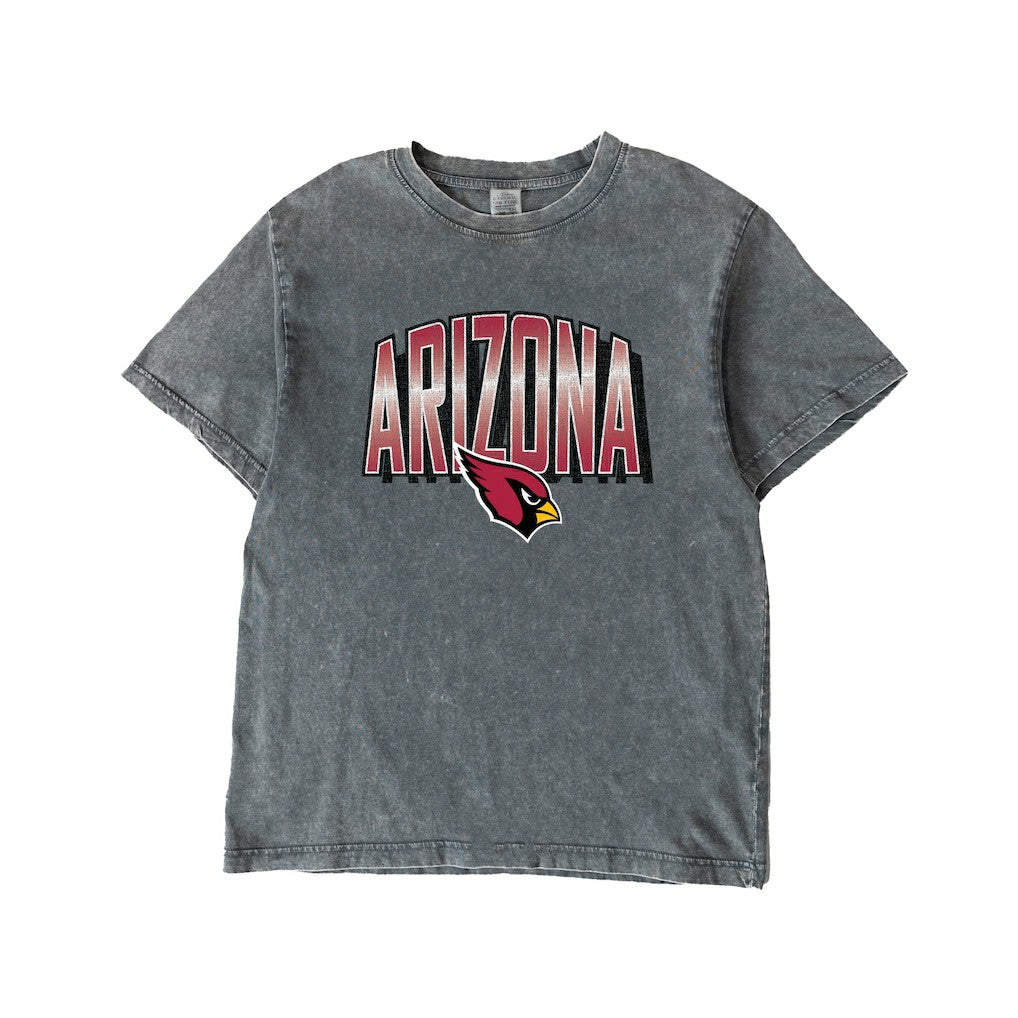 Arizona Cardinals Gameday Couture Women's Peak Performance Oversized Snow Wash T-Shirt - Gray - NFL