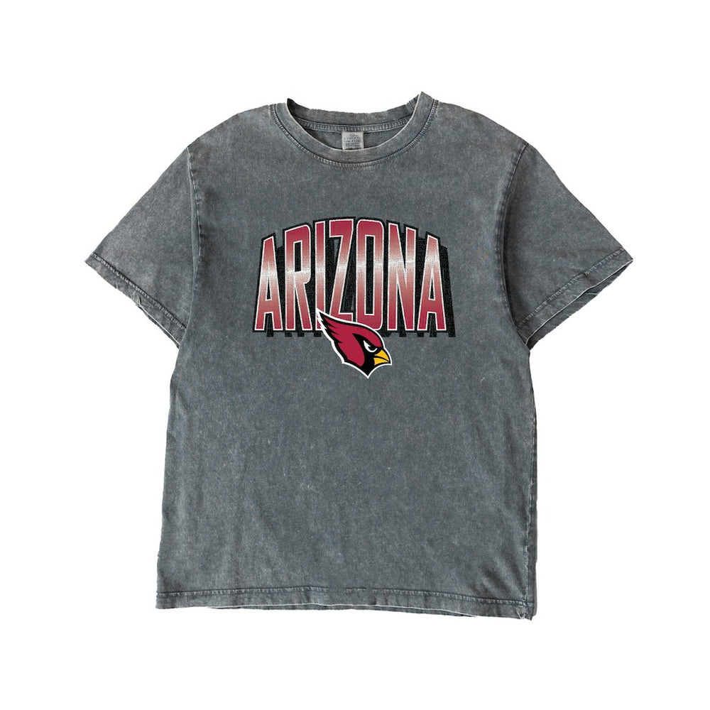 Arizona Cardinals Gameday Couture Women's Peak Performance Oversized Snow Wash T-Shirt - Gray - NFL