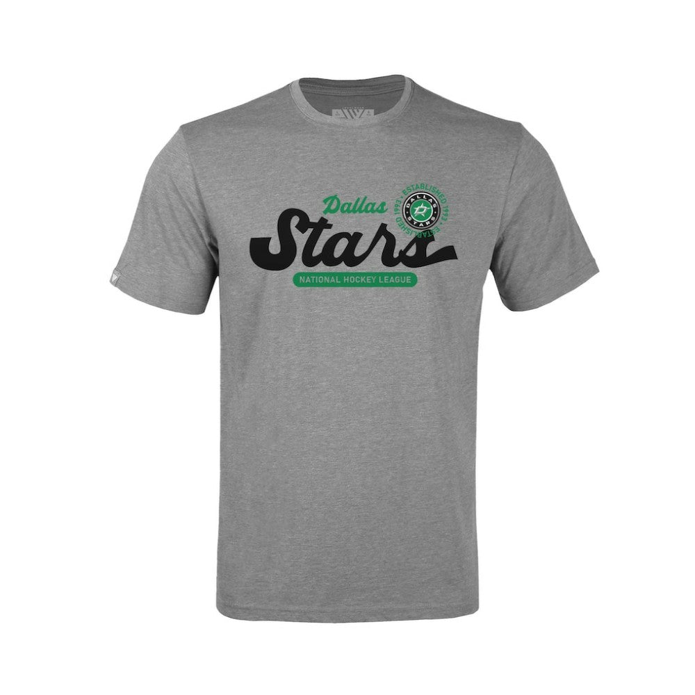 Dallas Stars Levelwear Youth Little Richmond Monument T-Shirt - Gray | NHL discount