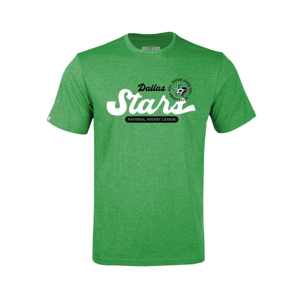 Dallas Stars Levelwear Youth Little Richmond Monument T-Shirt - Green | NHL sale