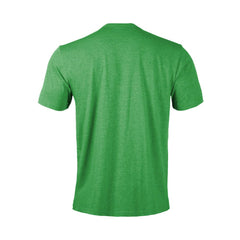 Dallas Stars Levelwear Youth Little Richmond Banner Arch T-Shirt - Green | NHL online