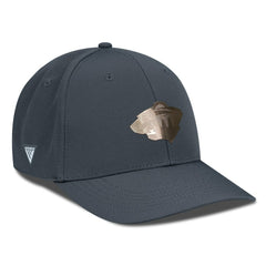 Minnesota Wild Levelwear Rise Copper Insignia Flex Hat - Charcoal | NHL sale